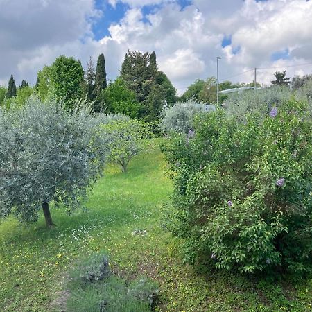 Happy Guest Apartments - Lake View And Pool Riva di Solto Εξωτερικό φωτογραφία